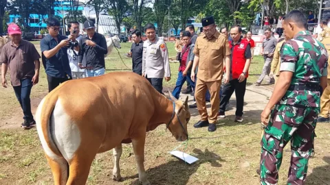 Pemkot Manado Salurkan 30 Ekor Sapi, Wakil Wali Kota Richard Sualang: Semoga Berkah