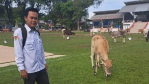 Jamaah Masjid Qordova Malendeng Sambut Antusias Bantuan Kurban Pemkot Manado