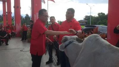 Semangat Kebersamaan, DPC PDIP Manado Salurkan Tiga Ekor Hewan Kurban
