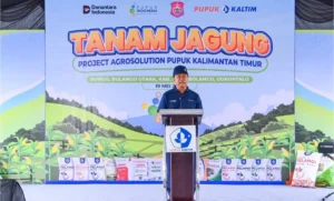 Pupuk Kaltim Perkuat Ketahanan Pangan Lewat Agrosolution, Petani Dijamin Pendampingan hingga Panen