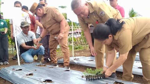 Bupati Robby Dondokambey Apresiasi Kelompok Tani Pinasungkulan Desa Parepei