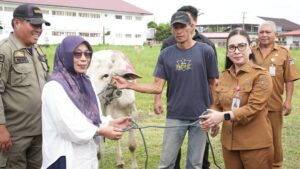 Pemkab Minahasa Bersedekah, Vanda Sarundajang Serahkan Hewan Kurban