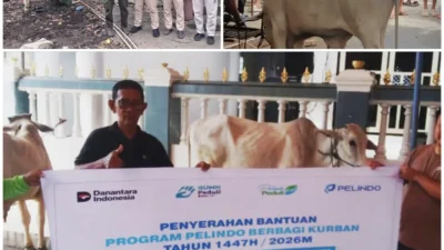 Iduladha, Pelindo Manado Bagikan Sapi Kurban untuk Buruh Pelabuhan