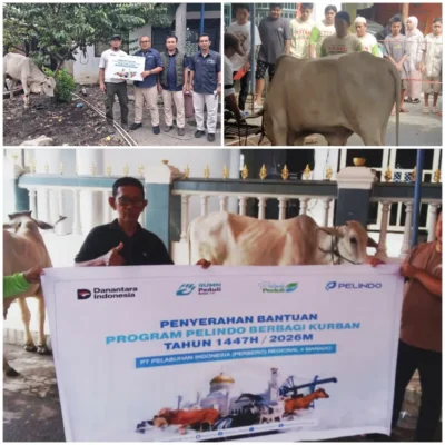 Iduladha, Pelindo Manado Bagikan Sapi Kurban untuk Buruh Pelabuhan