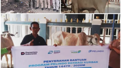 Iduladha, Pelindo Manado Bagikan Sapi Kurban untuk Buruh Pelabuhan