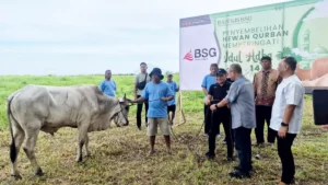 Idul Adha 1447 H, BSG Tebar Kepedulian Lewat 19 Ekor Hewan Kurban