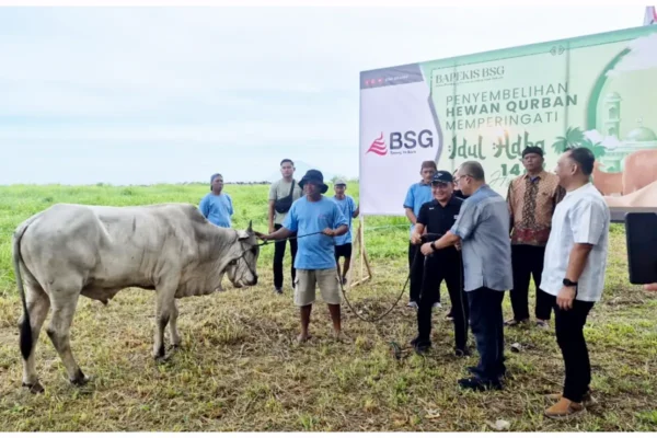 Idul Adha 1447 H, BSG Tebar Kepedulian Lewat 19 Ekor Hewan Kurban