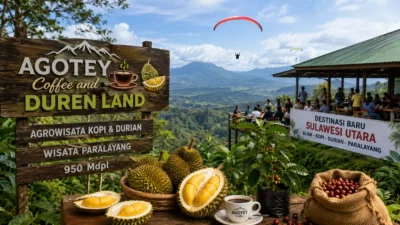 Rajanya Kopi dan Durian di Sulut, Agotey Coffee and Duren Land Siap Jadi Destinasi Baru Penggerak Ekonomi Warga