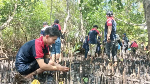 Alfamidi Tanam 1.000 Mangrove di Likupang, Perkuat Perlindungan Pesisir dan Ekonomi Warga