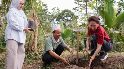 CIMB Niaga Tanam 115.400 Bambu, Perkuat Konservasi dan Ekonomi Warga Lombok Tengah
