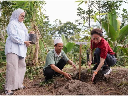 CIMB Niaga Tanam 115.400 Bambu, Perkuat Konservasi dan Ekonomi Warga Lombok Tengah