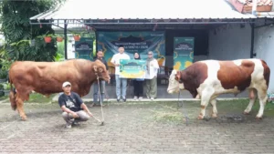 Dengan Semangat Kebersamaan, Telkomsel Salurkan Hewan Kurban Iduladha 1447 H