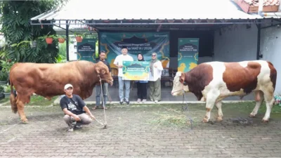 Dengan Semangat Kebersamaan, Telkomsel Salurkan Hewan Kurban Iduladha 1447 H