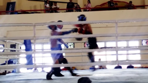 Selekprov Muaythai Sulut Digelar, Puluhan Atlet Berebut 5 Tiket Menuju Kejurnas 2026