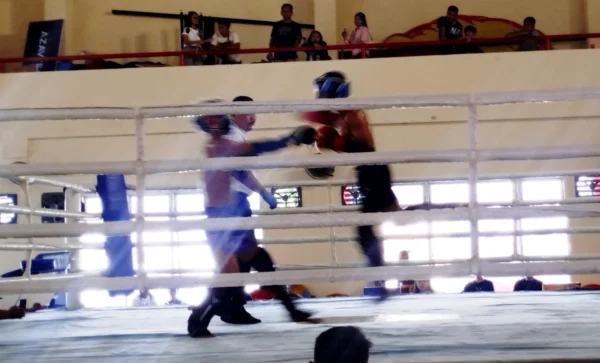 Selekprov Muaythai Sulut Digelar, Puluhan Atlet Berebut 5 Tiket Menuju Kejurnas 2026 8 Selekprov Muaythai Sulut Digelar, Puluhan Atlet Berebut 5 Tiket Menuju Kejurnas 2026