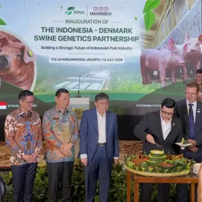 Joune Ganda Kawal Kerja Sama Bersejarah, Minut Jadi Pelopor Genetika Babi Modern di Indonesia