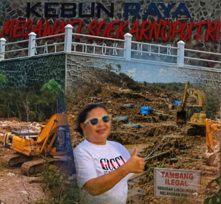 Diduga Kebal Hukum, Bos Tambang Vinni Sondakh Bebas Keruk Emas Miliaran Rupiah di Kebun Raya Megawati