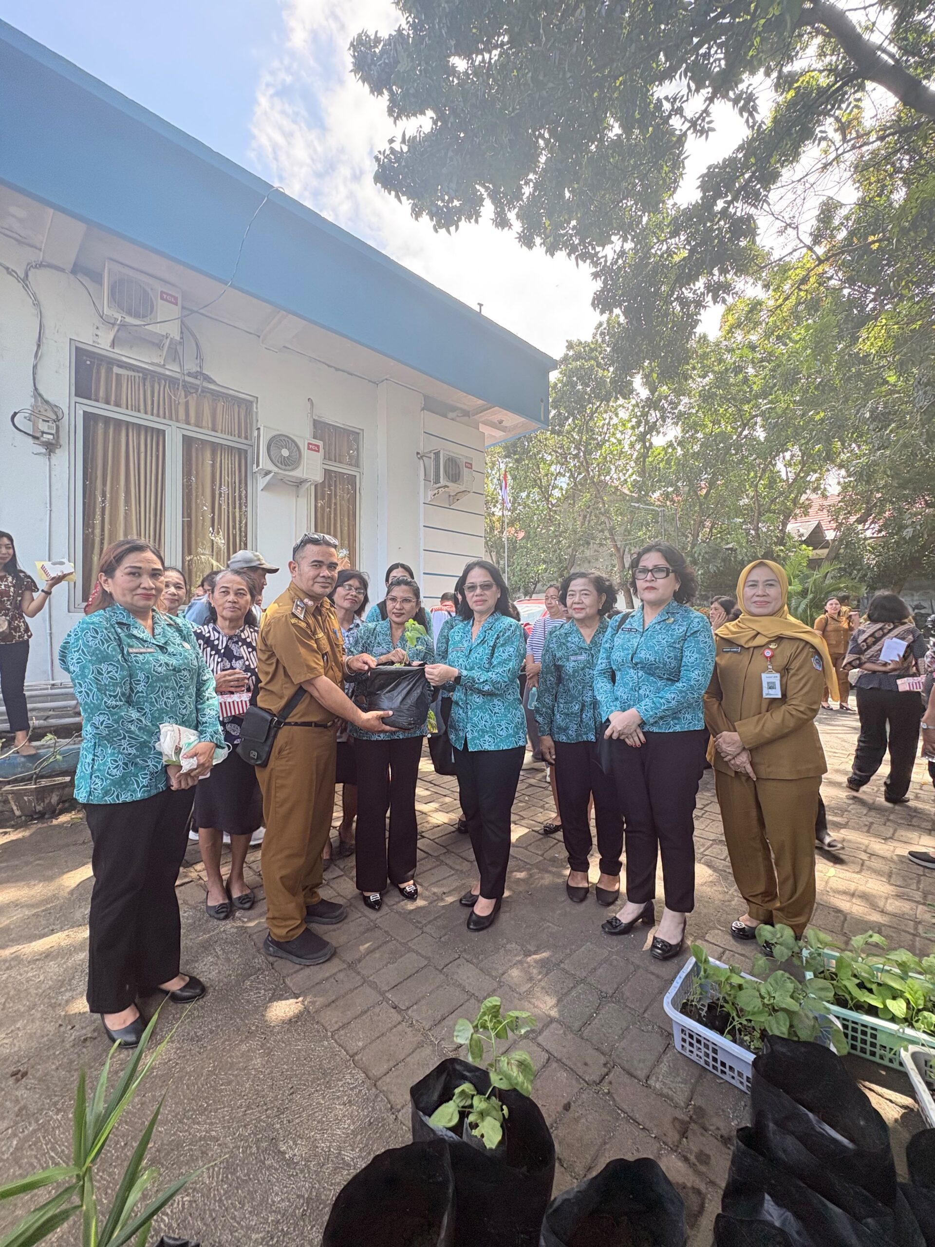 Dari Sampah Jadi Peluang, Ellen Honandar Sondakh Kini Sebar Bibit Tomat dan Sayuran untuk Perkuat Ekonomi Keluarga