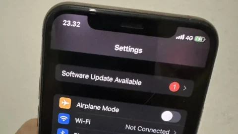 Layar iPhone menampilkan menu Software Update pembaruan iOS.