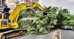 Waspada! BMKG: Angin Kencang dan Cuaca Ekstrem Landa Sulut 28-31 Juli