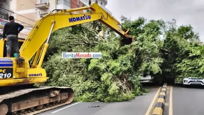 Alat berat evakuasi pohon tumbang akibat angin kencang di Manado, Sulawesi Utara