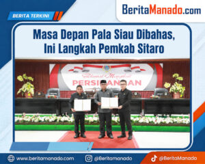 Masa Depan Pala Siau Dibahas, Ini Langkah Pemkab Sitaro