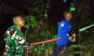 Kebakaran Lahan Amurang Barat, Babinsa Dipuji Pangdam