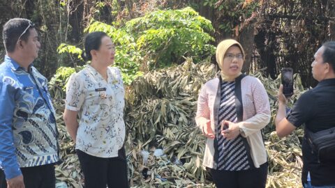 Pohon Rawan Dipangkas, Camat Maesa Warning Warga: Jangan Bakar Lahan di Musim Kemarau