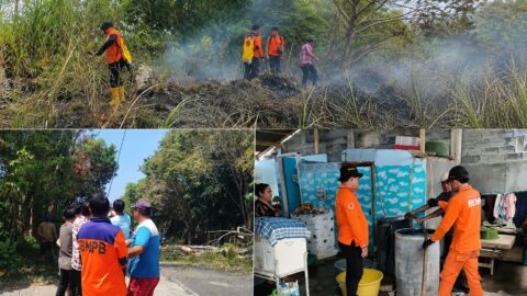 BPBD Bitung Bergerak Cepat, Air Bersih Disalurkan, Pohon Rawan Dipangkas, Karhutla Ditangani