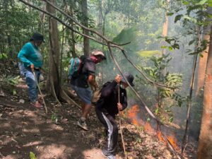 Kebakaran Hutan Tangkoko, Wisatawan Prancis Ikut Berjuang Selamatkan Hutan Konservasi