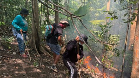 Kebakaran Hutan Tangkoko, Wisatawan Prancis Ikut Berjuang Selamatkan Hutan Konservasi