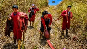 Joune Ganda Apresiasi Petugas Damkar Minut yang Bekerja Ekstra, Imbau Warga Jaga Lahan Kering