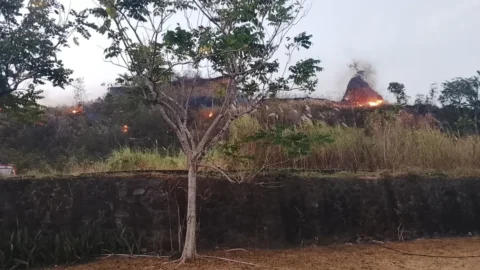 Kebakaran Lahan di Samping Kantor DPRD Sulut, Api Masih Menyala hingga Jelang Malam