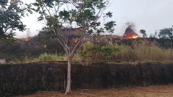 Kebakaran Lahan di Samping Kantor DPRD Sulut, Api Masih Menyala hingga Jelang Malam 11 Kebakaran Lahan di Samping Kantor DPRD Sulut, Api Masih Menyala hingga Jelang Malam