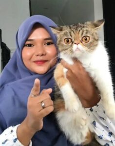 Jasa Catsitter Kian Diminati, Ini Alasan Pemilik Kucing Beralih