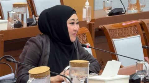 Anggota Komisi VIII DPR RI dari Fraksi Partai NasDem, Lisda Hendrajoni