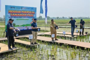 Program Agrosolution Pupuk Kaltim Tingkatkan Hasil Petani Jombang
