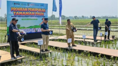 Program Agrosolution Pupuk Kaltim Tingkatkan Hasil Petani Jombang