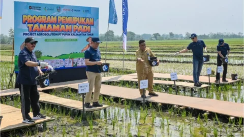 Program Agrosolution Pupuk Kaltim Tingkatkan Hasil Petani Jombang