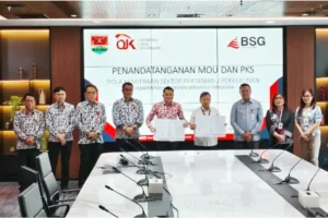 Bank SulutGo Gandeng Mitra, Perkuat Ekonomi Petani Kelapa