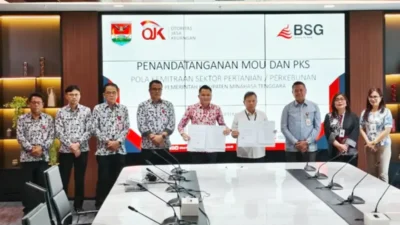 Bank SulutGo Gandeng Mitra, Perkuat Ekonomi Petani Kelapa