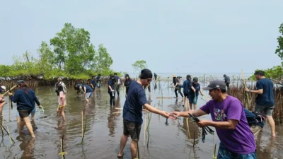 DAW Tanam 500 Bibit Mangrove, Jaga Pesisir Bahowo