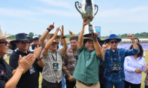 Sabet Gelar Juara Umum, Sulawesi Utara Dominasi Kejurnas Pacuan Kuda PORDASI Ke-60 di Tompaso