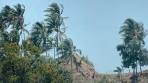 Angin Kencang Ancam Manado dan 7 Wilayah Sulut, BMKG Ungkap Tanggal Rawan