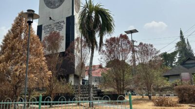 Tanaman mengering dan sebagian mati di taman Tugu Adipura Manado saat musim kemarau.